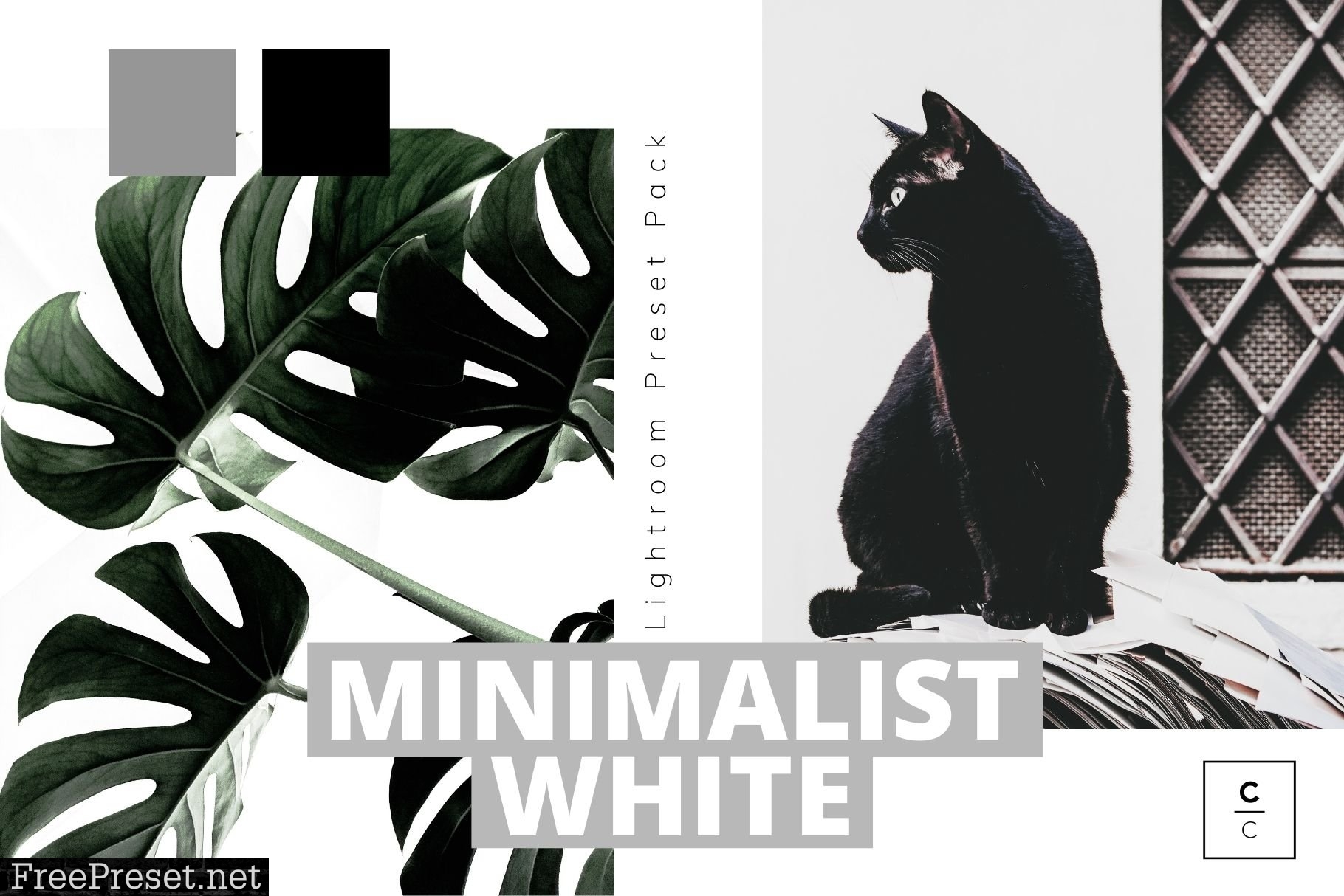 Minimalist White Lightroom Preset 5978148