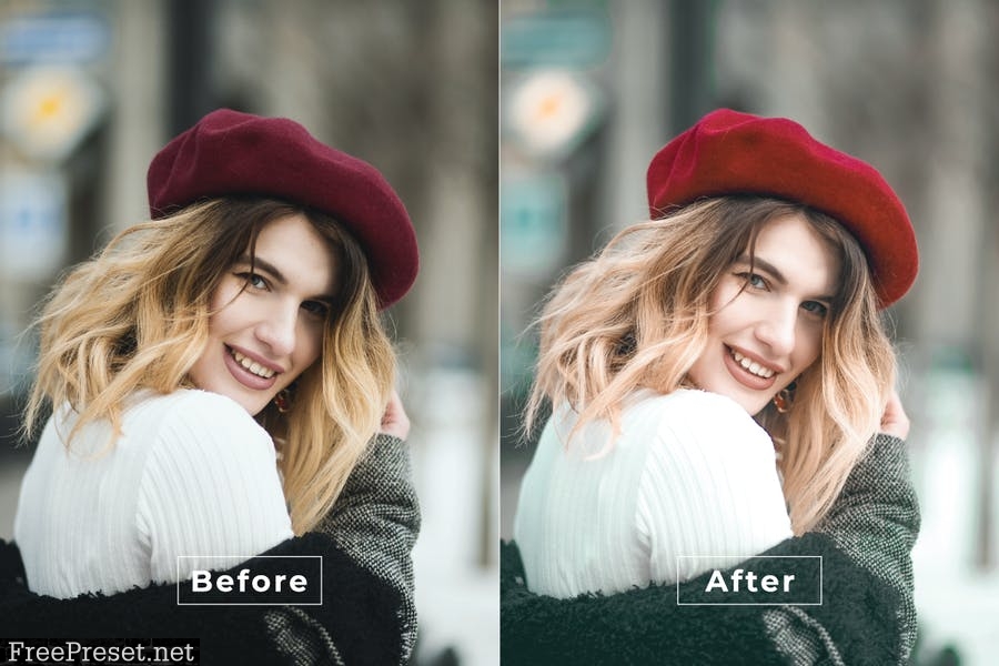 Natural Desktop and Mobile Lightroom Preset