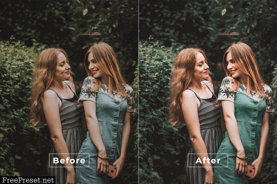 Natural Desktop and Mobile Lightroom Preset