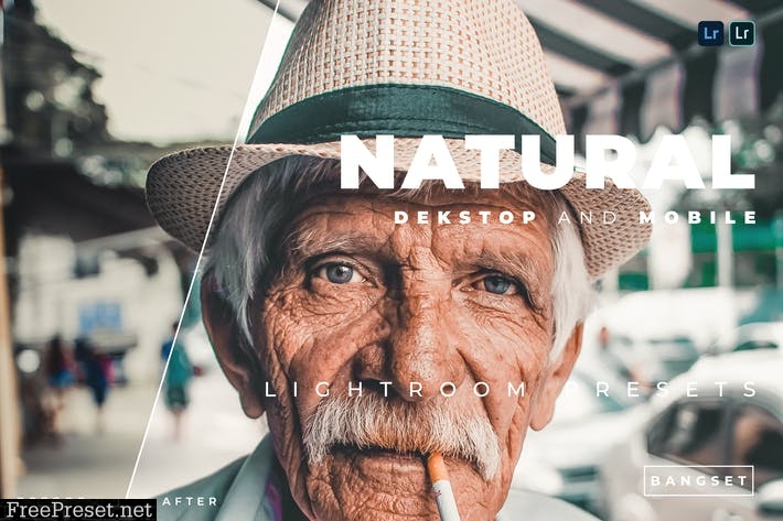 Natural Desktop and Mobile Lightroom Preset