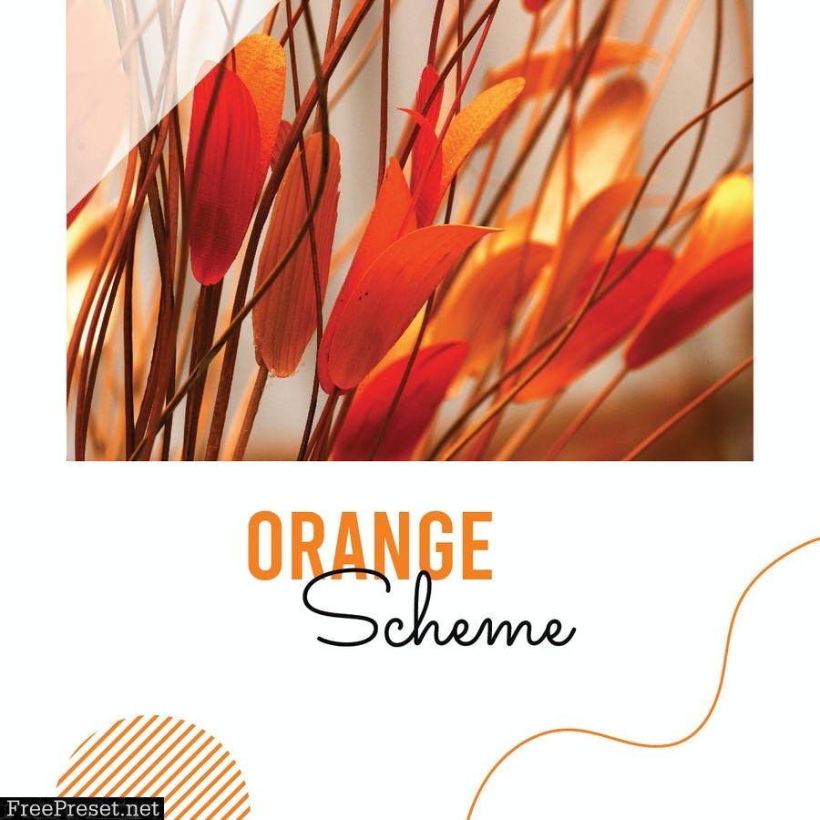 Orange Scheme FGFY6K4