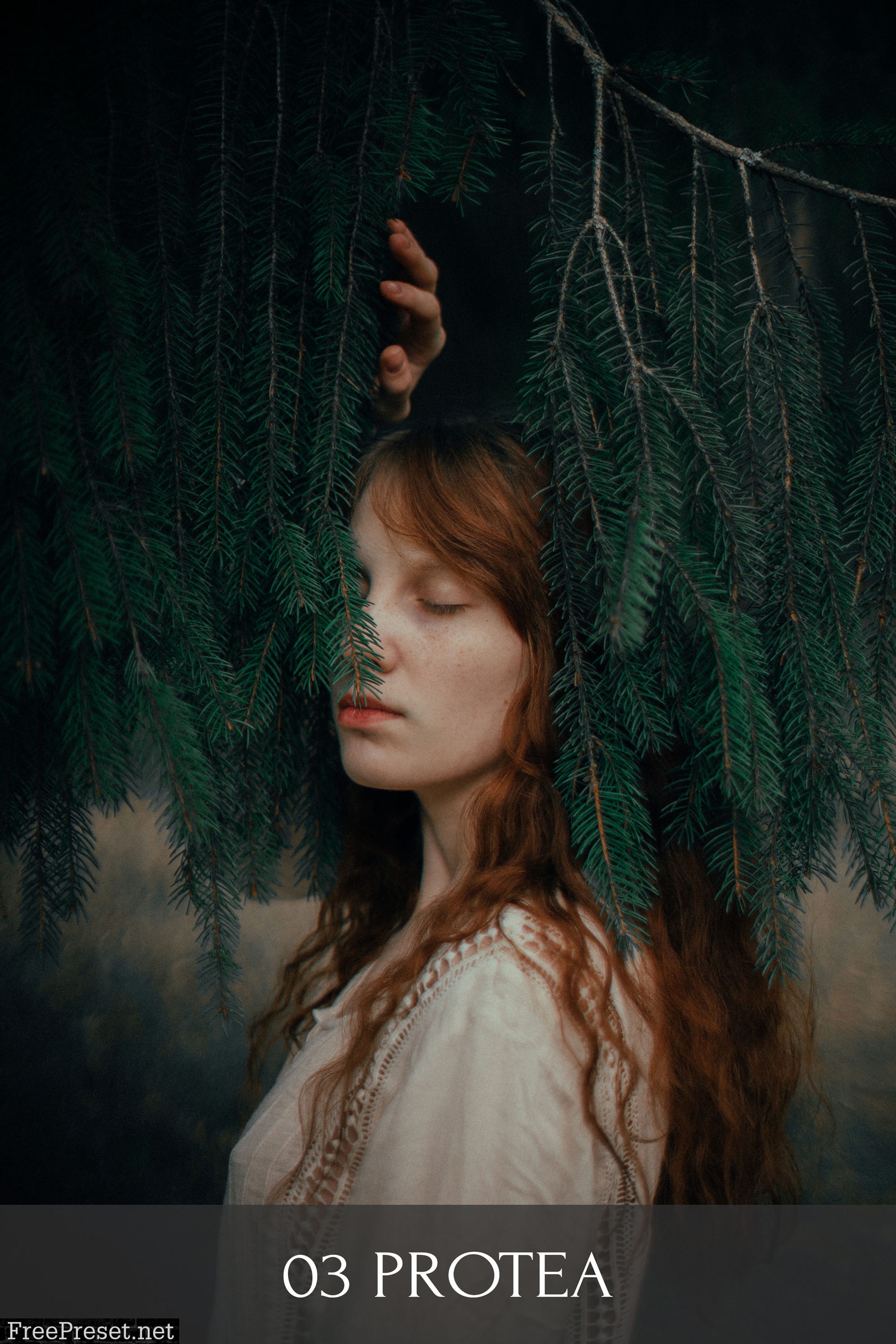 Polina Washington - Botanical Garden Presets Pack