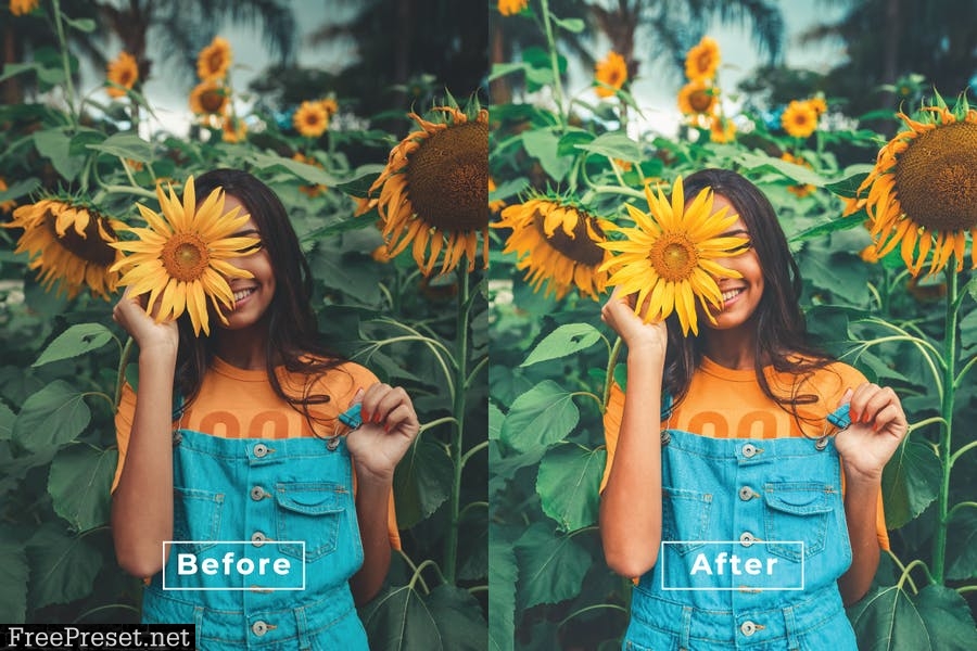 Sweet Desktop and Mobile Lightroom Preset