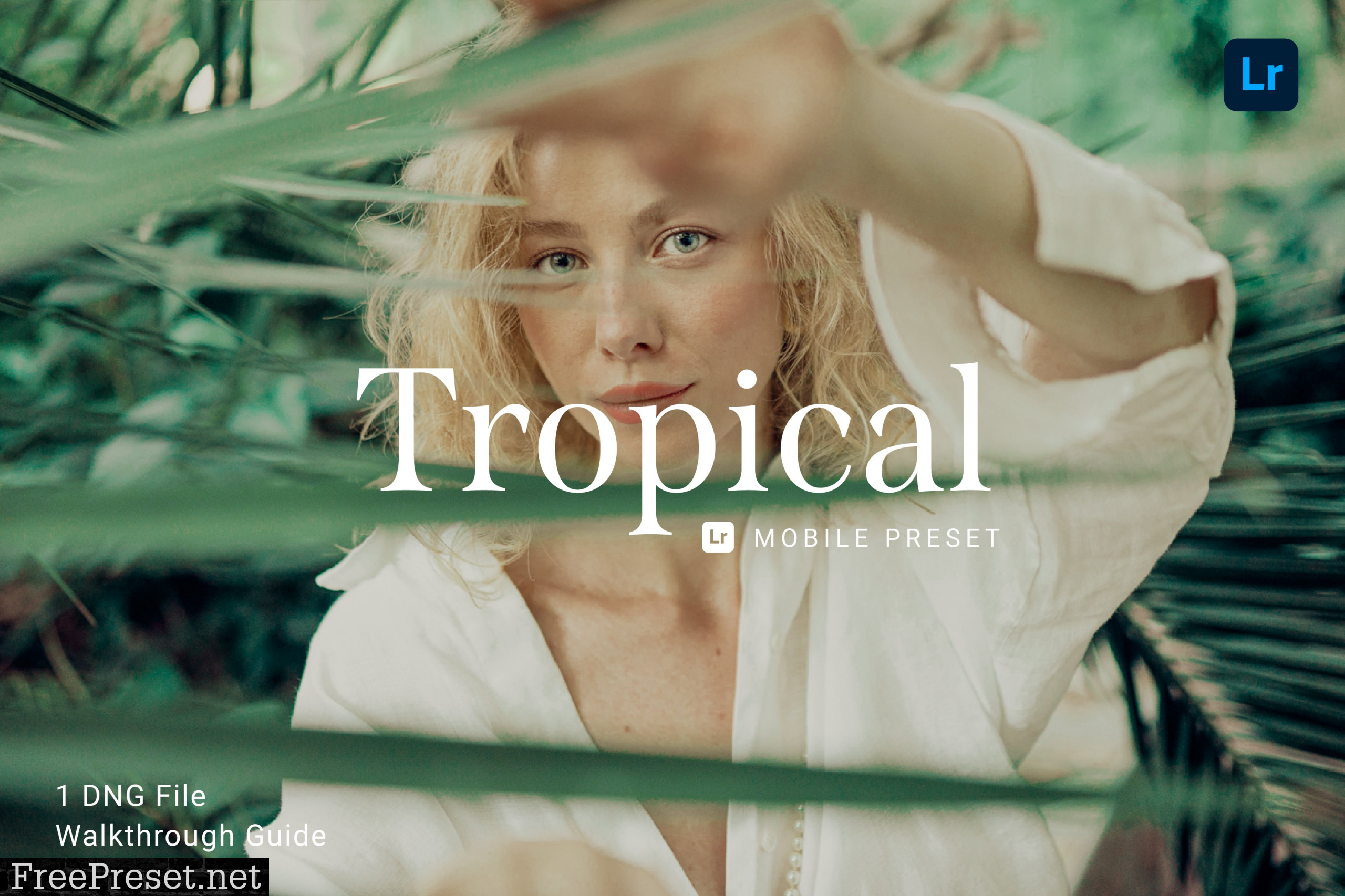 Tropical Lightroom Mobile Preset 5914234