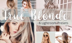 True Blonde - Lightroom Presets Pack 5923591