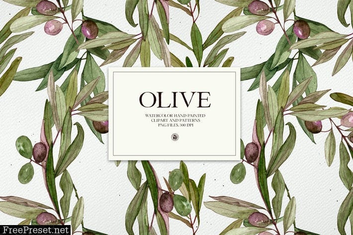 Watercolor Olive - frames and patterns PW3GK68