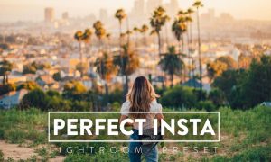 10 Perfect Instagram Lightroom Preset