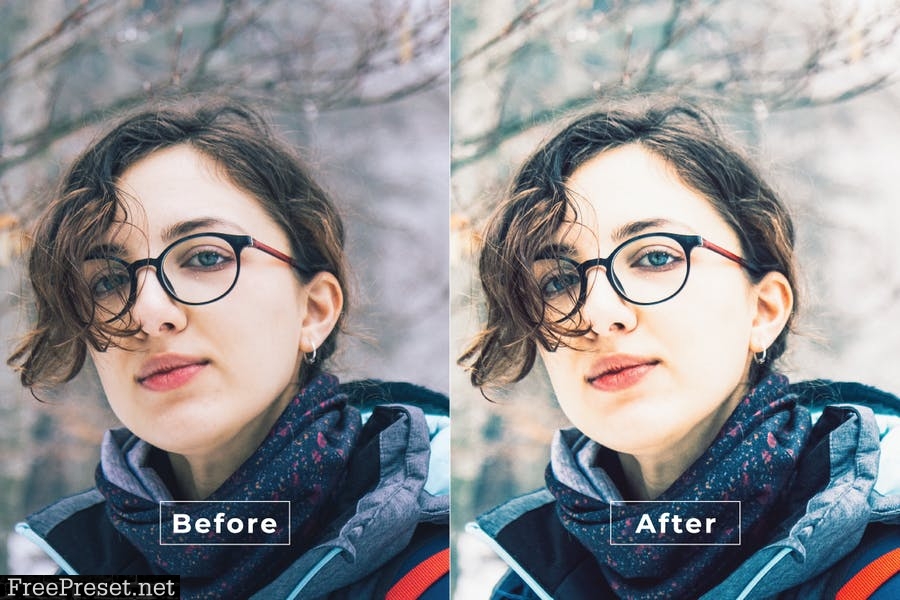 Ackerley Desktop and Mobile Lightroom Preset