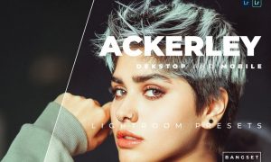 Ackerley Desktop and Mobile Lightroom Preset
