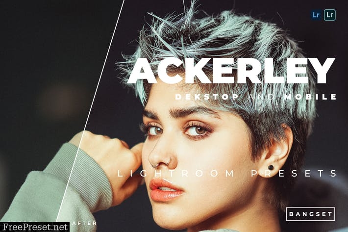 Ackerley Desktop and Mobile Lightroom Preset