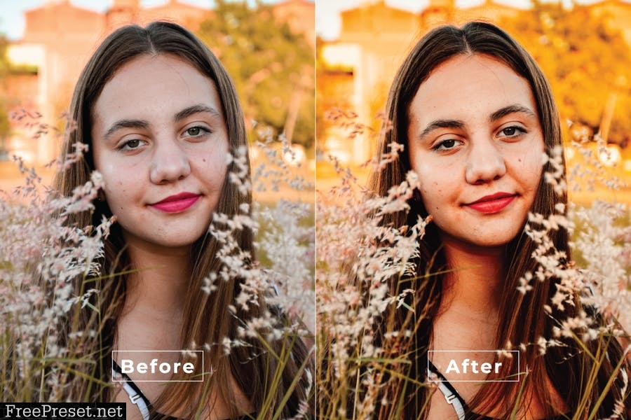 Addison Desktop and Mobile Lightroom Preset