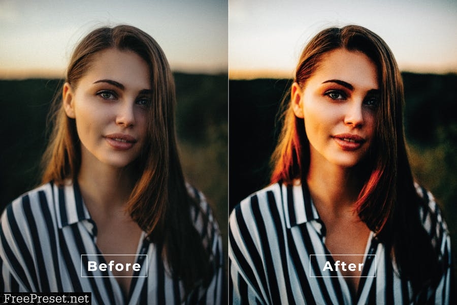 Adney Desktop and Mobile Lightroom Preset