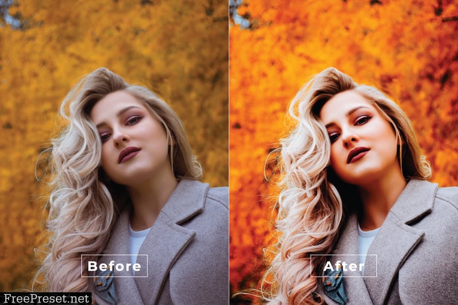 Adney Desktop and Mobile Lightroom Preset