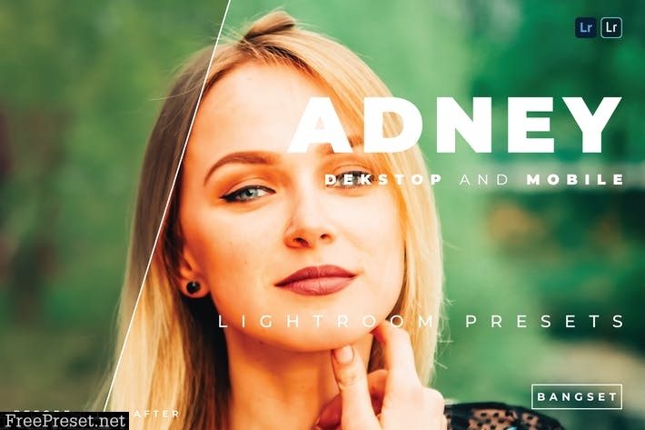 Adney Desktop and Mobile Lightroom Preset