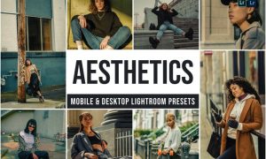 Aesthetics Mobile and Desktop Lightroom Presets