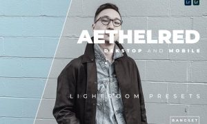 Aethelred Desktop and Mobile Lightroom Preset