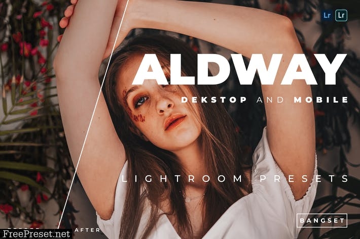 Aldway Desktop and Mobile Lightroom Preset