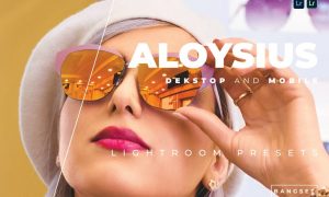 Aloysius Desktop and Mobile Lightroom Preset