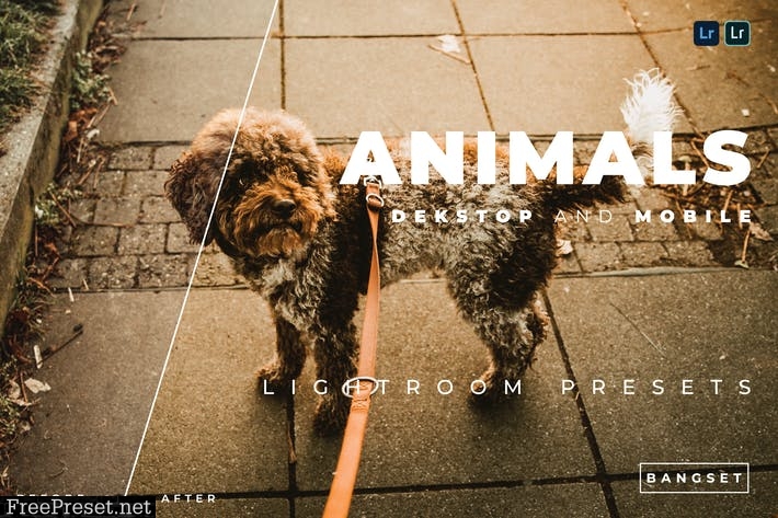 Animals Desktop and Mobile Lightroom Preset