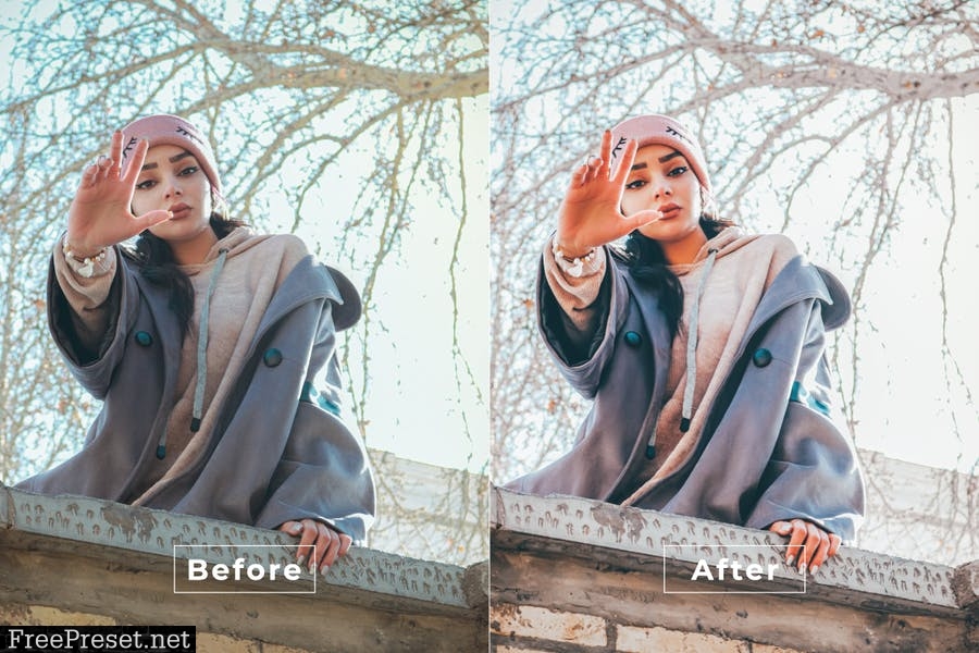 Antonia Desktop and Mobile Lightroom Preset