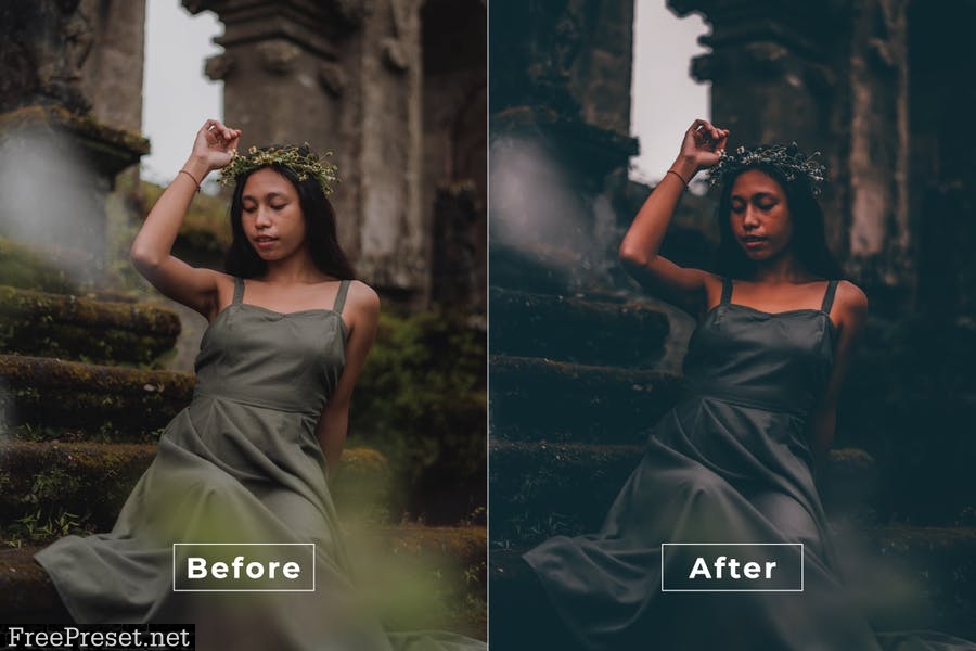 Antonia Desktop and Mobile Lightroom Preset