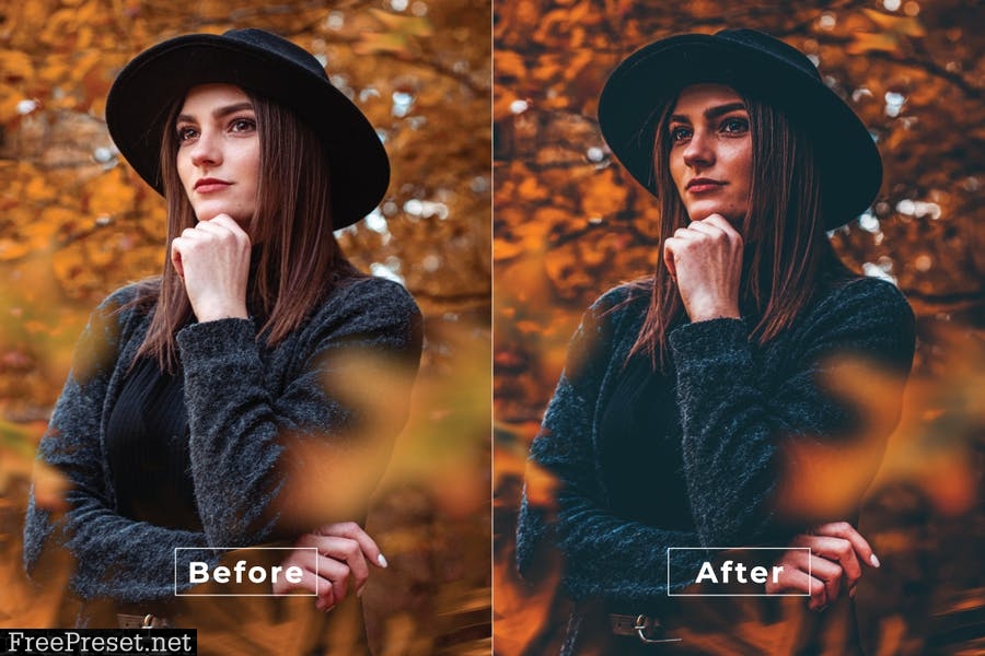 Antonia Desktop and Mobile Lightroom Preset