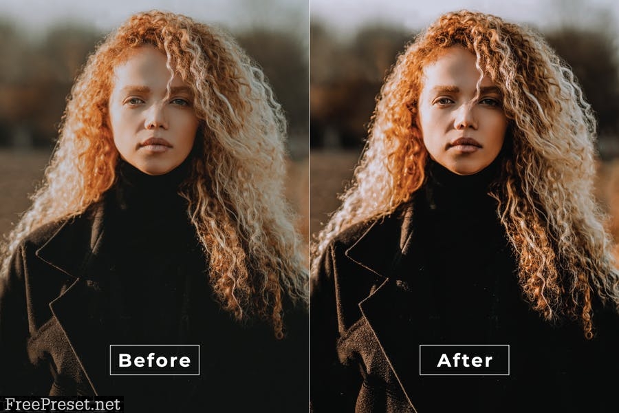 Beatrice Desktop and Mobile Lightroom Preset