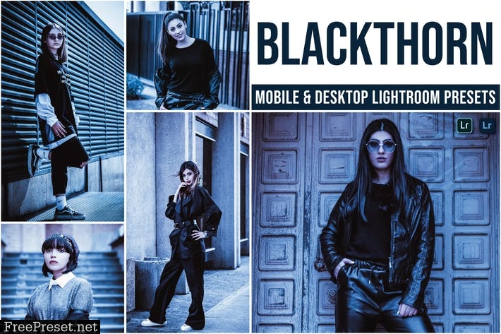 Blackthorn Mobile and Desktop Lightroom Presets