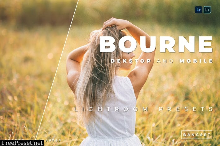 Bourne Desktop and Mobile Lightroom Preset