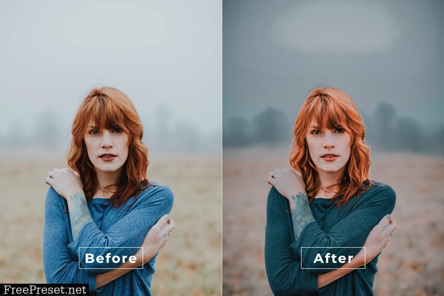 Cadence Desktop and Mobile Lightroom Preset