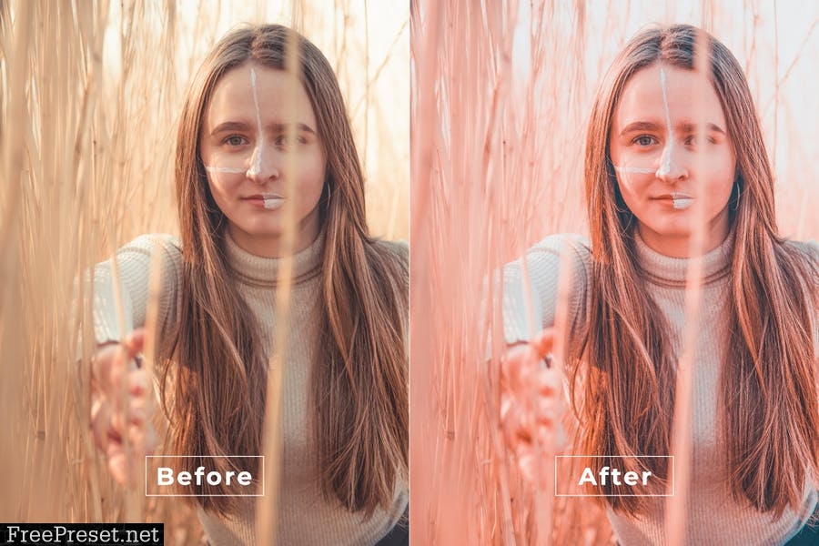 Cadmael Desktop and Mobile Lightroom Preset