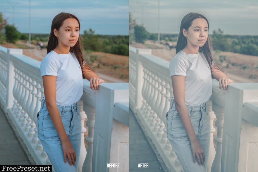 Catherine Mobile and Desktop Lightroom Presets