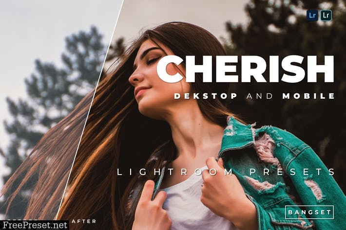 Cherish Desktop and Mobile Lightroom Preset