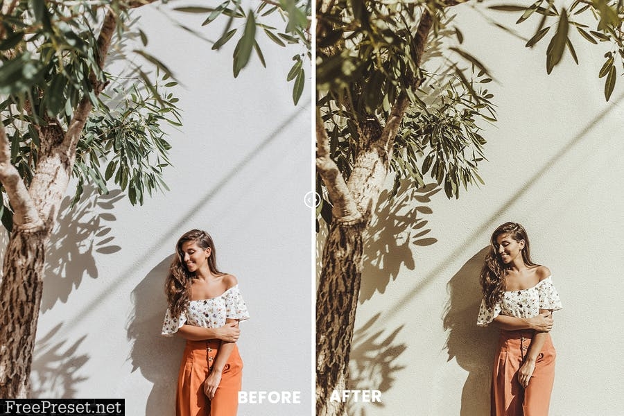 Cinematic Tone Photoshop Action & Lightrom Presets