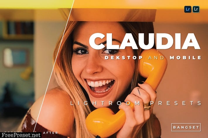 Claudia Desktop and Mobile Lightroom Preset