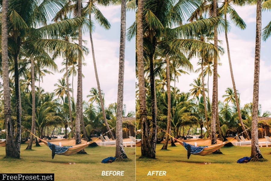 Coconut Mobile and Desktop Lightroom Presets