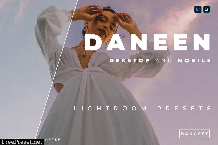 Daneen Desktop and Mobile Lightroom Preset