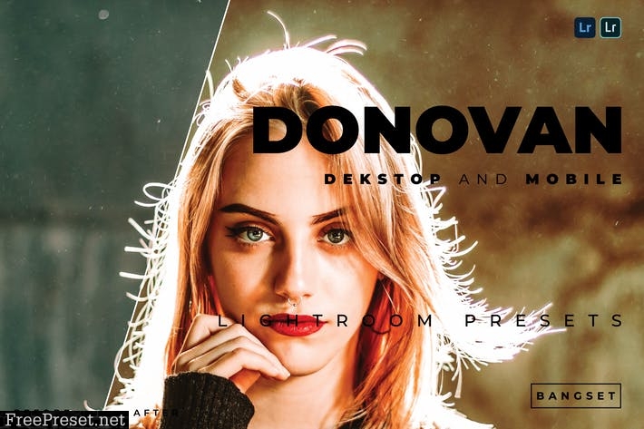 Donovan Desktop and Mobile Lightroom Preset