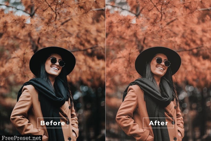 Durrel Desktop and Mobile Lightroom Preset