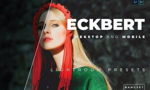 Eckbert Desktop and Mobile Lightroom Preset