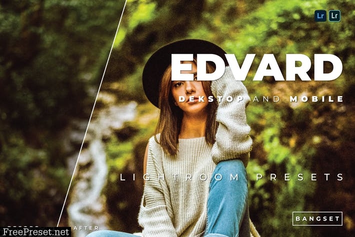 Edvard Desktop and Mobile Lightroom Preset