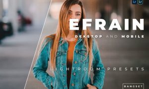 Efrain Desktop and Mobile Lightroom Preset