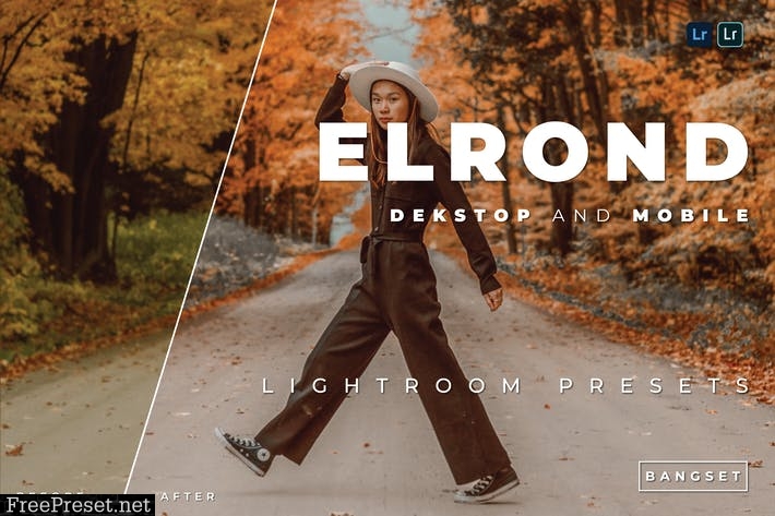Elrond Desktop and Mobile Lightroom Preset