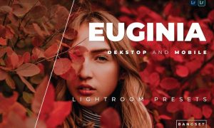 Euginia Desktop and Mobile Lightroom Preset