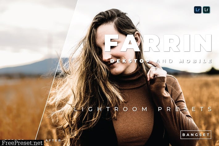 Farrin Desktop and Mobile Lightroom Preset