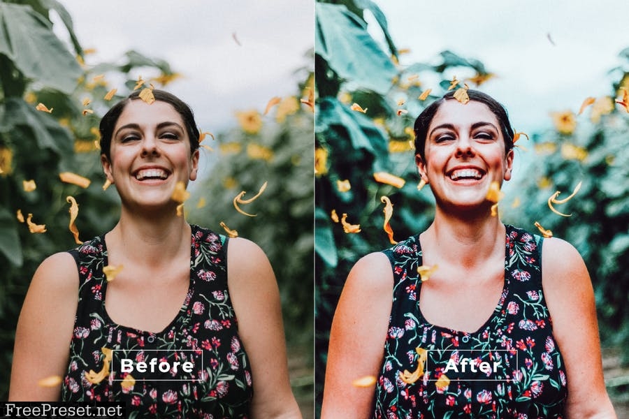 Felman Desktop and Mobile Lightroom Preset