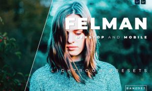 Felman Desktop and Mobile Lightroom Preset