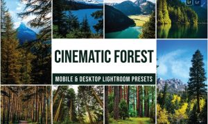 Forest Mobile and Desktop Lightroom Presets