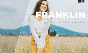 Franklin Desktop and Mobile Lightroom Preset