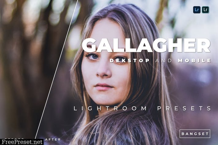 Gallagher Desktop and Mobile Lightroom Preset